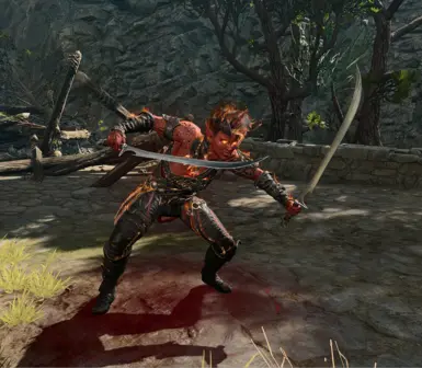 Dual Wield Berserker Frenzied Strike