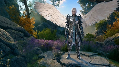 Great armor for Aasimar characters