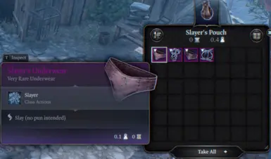 4 different underwear in a pouch