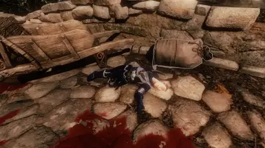 Another dead paladin at the bridge between a heap of gnolls