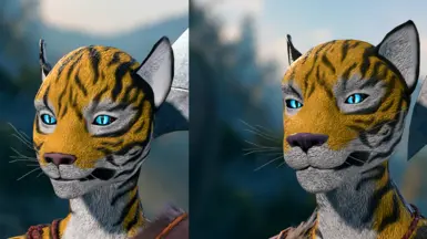 Female and male heads