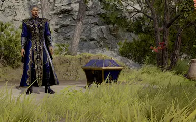 Wizard Wonder + dye container