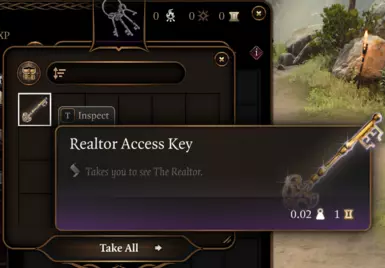 Realtor Access Key
