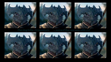 new Dragonborn sets in v1.7 (not all pictured)