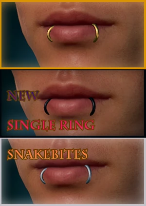 Buy MODRSA Fake Nose Ring Hoop Fake Septum Fake Nose Ring Magnetic Septum  Nose Ring Fake Nose Piercing Fake Nose Ring Stud Double Fake Noe Rings for  Women Men, Metal, stainless-steel at