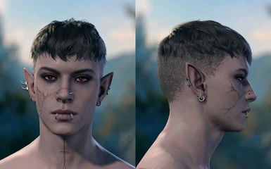 Tav's Hairpack (in Patch4 short beards and some shaved sides look a bit nasty like this, if you want it to be pretty again you can force anisotropic filtering to x16 from nvidia control panel)