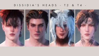 Dissidia's Heads - T2 and T4 -