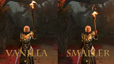Smaller Torches