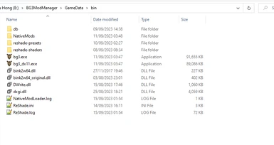 Example GameData/bin folder.