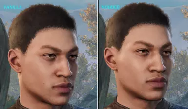 Comparison - Human Male - Head 3