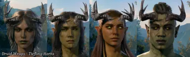 Druid Wraps Horns