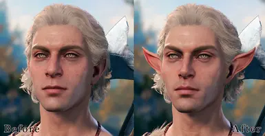 Half-Elf Male 2