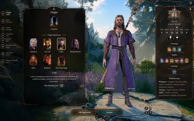 Alternate Wizard Stats