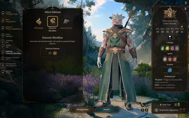 2.0 Draconic Sorcerer