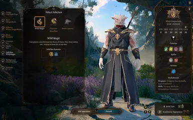 2.0 Wild Magic Sorcerer
