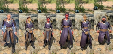 Other body types use the default appearance of the robes