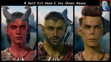 M Half Elf Head E Preset for Other Races