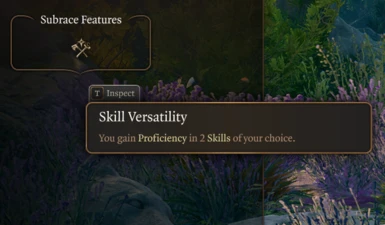Half Elf with Skill Versatility