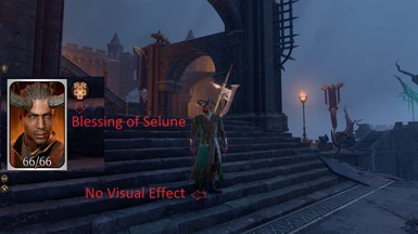 Remove Visual Effect for Blessing of Selune