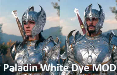 Paladin's White Armor Dye