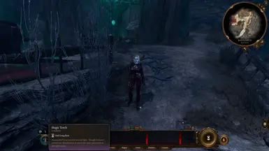 The invisible Magic Torch passive active in The Shadow-Cursed Lands.