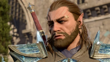 Halsin's Beard at Baldur's Gate 3 Nexus - Mods and community