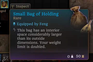 Bags of Holding at Baldur's Gate 3 Nexus - Mods and community