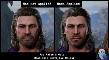 The Previous looks of Gale (Head_Hair_Beard_Eye Colour)