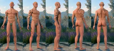 discreet elf 2