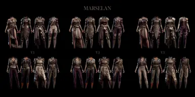 MARSELAN (v1.2.0)