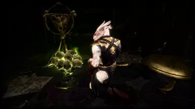 Totems of the Necromancer questline available in acts 1, 2, and 3!
