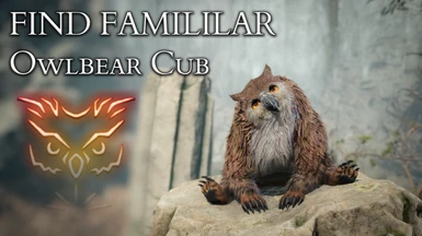 Find Familiar - Owlbear Cub