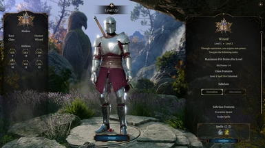 Armor Appearance (Level Up)