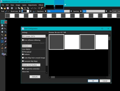 A cropped screenshot of the template's .dds file in paint.net with the compression settings window open
