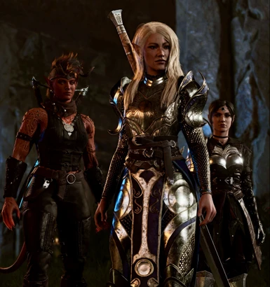 EA Half Plate Female Armor at Baldur's Gate 3 Nexus - Mods and community