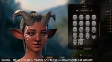 Facepaint - works alongside scars, makeup AND Tattoos (not editable)