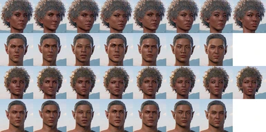 Screenshots of the Elf heads with Aasimar presets