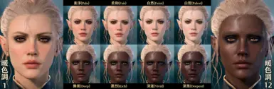 暖色調(Warm Tone)1&amp;12與Mod膚色的對比差異