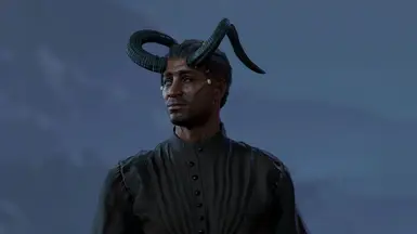 Alternate hairstyle for Wyll at Baldur's Gate 3 Nexus - Mods and community