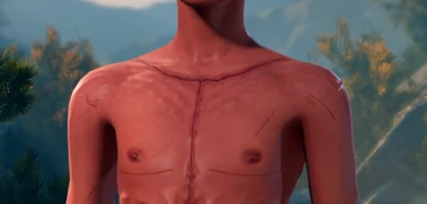 Top scars for the Transmasc mod. Tried to match positioning/shape of that mod!