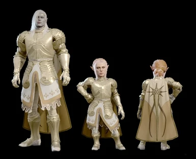 All body types for armour supported