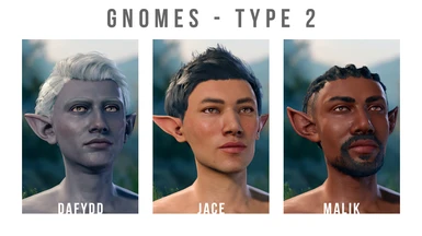 DAFYDD, JACE, MALIK - gnomes. body type 2