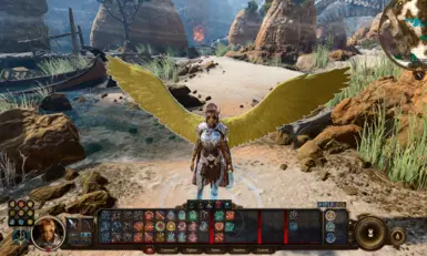 My Custom Wing for Companion