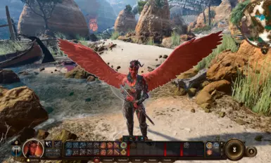 My Custom Wing for Companion