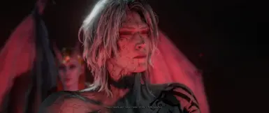 Only reshade