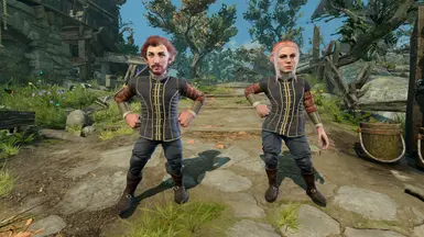 Gnomes