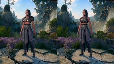Variants with Jaheira's pants