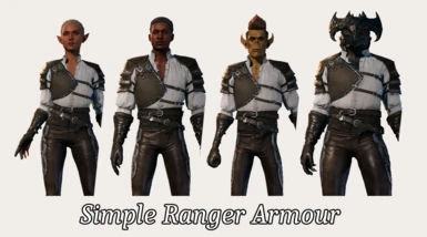 Ranger's Leather Armor