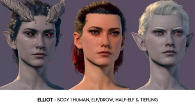 Elliot - Body 1 Human, Elf/Drow, Half-Elf, Tiefling
