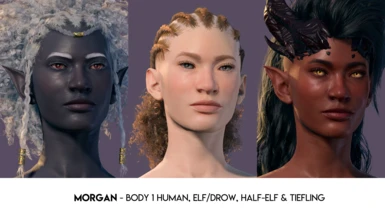 Morgan - Body 1 Human, Elf/Drow, Half-Elf, Tiefling